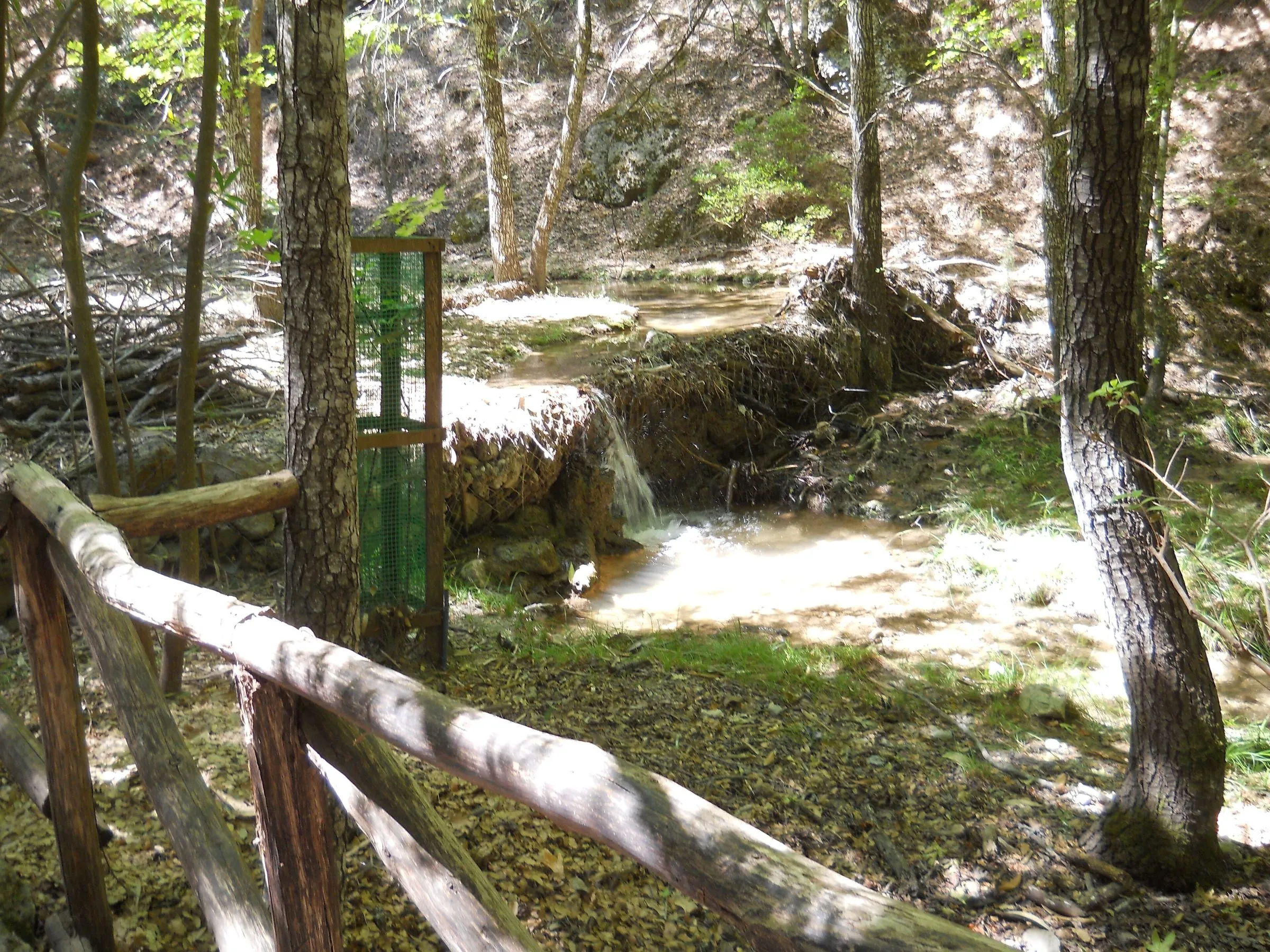 Bachlauf mit kleinem Wasserfall im bewaldeten Tal der Schmetterlinge